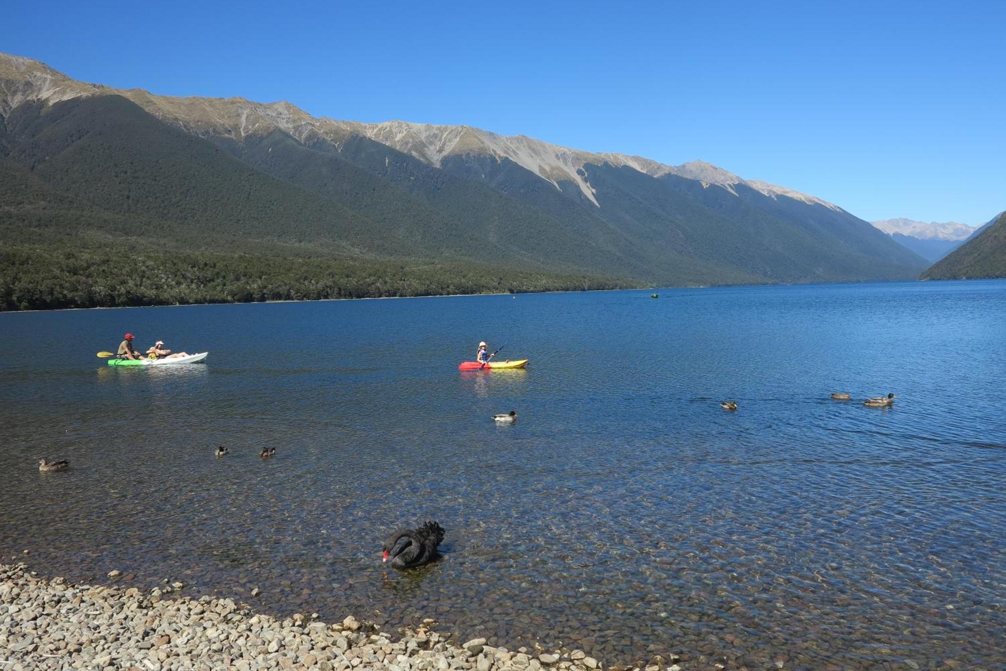 Tophouse Mountainview Cottages Saint Arnaud Esterno foto